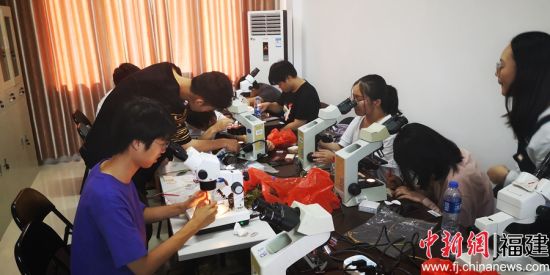 图为植物保护严家显班学生利用显微镜观察害虫切片 刘国坤摄 图为植物保护严家显班学生利用显微镜观察害虫切片 刘国坤摄